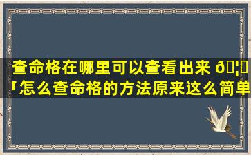 查命格在哪里可以查看出来 🦅 「怎么查命格的方法原来这么简单就看出来了」